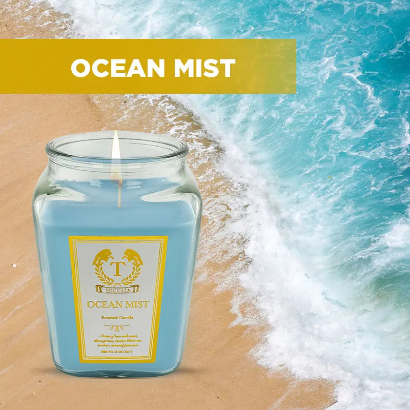 18oz Scented Candles- Ideal Holiday Gift, Stocking Stuffers, Gifts for Women,long time burned