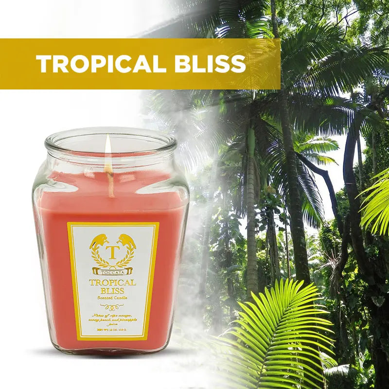 18oz Scented Candles- Ideal Holiday Gift, Stocking Stuffers, Gifts for Women,long time burned